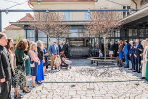 svatba-bartosovi-desp-production-2026-15