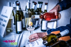 festivalovy-fotograf-foto-video-akce-27