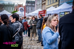 festivalovy-fotograf-foto-video-akce-44