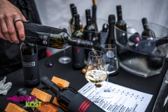 festivalova-produkce-fotograf-festival-video-10